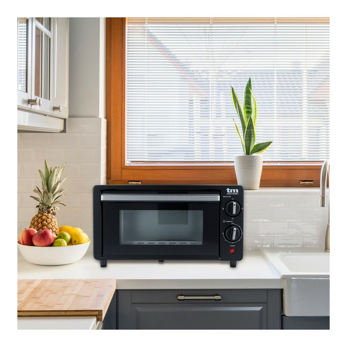 Elekto-Ofen Mini TM Electron 10 L